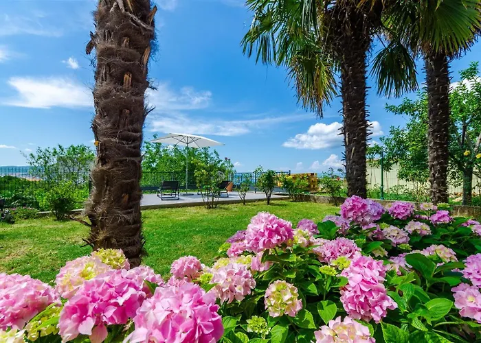 Apartment Rajnovic